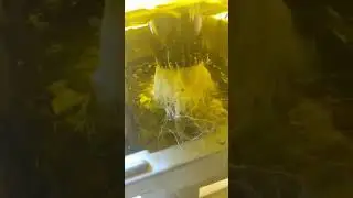 4 pot hydro system