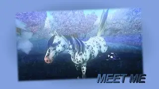Meet me P2