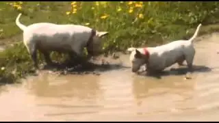 Фонд помощи 