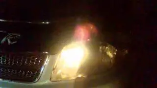 Ксенон после потопа.3gp