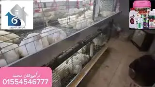 الناس الي برا المجال....بقو أساتذة المجال 😎💥مع البرنامج الاورجانيك 💯