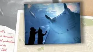 Морской дьявол  Совершенная машина  Морской дьявол
