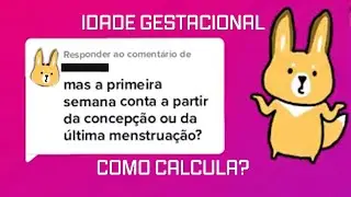 A 1ª semana da gestação é contada a partir da concepção ou da última menstruação? Eu explico aqui