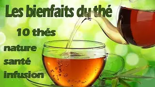 Les vertus de 10 thés pour le bien être, variétés, saveurs, dégustation, bienfaits