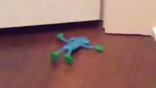 Do not watch