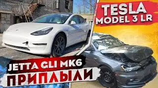 Tesla Model 3 и Jetta GLI MK6 приплыли!