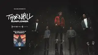Thornhill - Sunflower