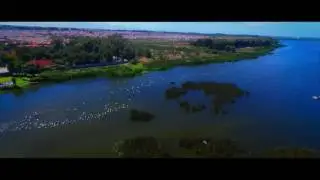 MORNING ON THE LAKE - CAPE TOWN 2017
