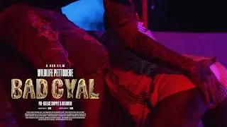 Wildlife Pettodene, VSR - Bad Gyal (Pre-Release Snippet & Interview)