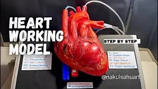 how to make heart science project part 2_with heart beats effect 