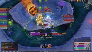 Perfection, EU Tarren Mill vs High Botanist Mythic, Havoc DH PoV