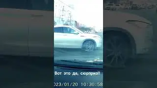 Чудо на финике