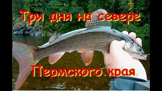 Три дня на Северном Урале. Хариус на нахлыст