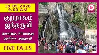 Five Falls | 19.05.2026, 9.00 AM | குற்றாலம் ஐந்தருவி வீடியோ | Kutralam Season Today | KutralamLive