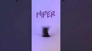 Главная особенность умного дома #HIPER