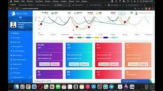 SKYLINE   РАЗБОР ПРОЕКТА. ПАССИВНЫЙ ДОХОД 0,88% -1,65% ЕЖЕДНЕВНО!
