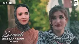 Zaynab bilan qoling begim 3-qism (2-mavsum) | Зайнаб билан колинг бегим (2-мавсум) (миллий сериал)