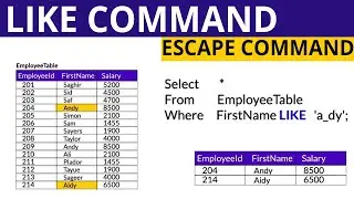 LIKE command with Escape command