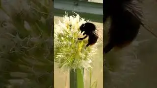 #Очуметьприрода