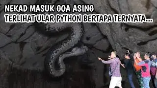 Bertemu Ular Phyton Di Dalam Goa Masangan Setelah Di Dekati Ternyata