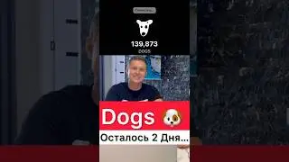 ⚠️DOGS НАКОНЕЦ-ТО ЛИСТИНГ  #dogs #dogsкаквывести #crypto