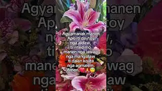Agyamanak Apo / Ilokano Morning Prayer #faith #morningprayer