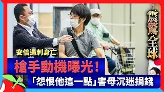 安倍遇刺身亡　槍手動機曝光！「怨恨他這一點」害母沉迷捐錢 | 台灣新聞 Taiwan 蘋果新聞網