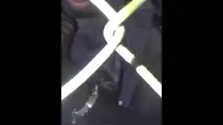 Travis Scott and playboi carti 's new album 