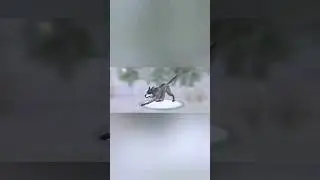 I lost 2 hours of my life doing this edit (*) ( flash warning )