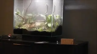 Setting Up My Fish Tank! (Episode 1)