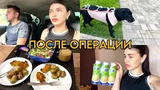 VLOG:🔥МИЮШУ СТЕРИЛИЗОВАЛИ🔥