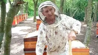 Качаем Акацию!Коротко
