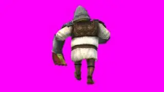 Shrek knight walk animated back chroma
