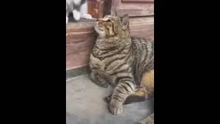 Поиграем 😉