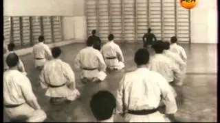 Сэнэ-карате.