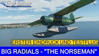 Big Radials 