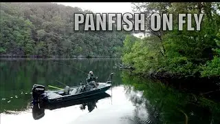 Fly Fishing The Spawn For Panfish