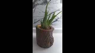 kütükten saksı part 4 - #kendinyap #diy #diycrafts #hobby #atölye #elişi #saksıyapımı #ahşapsaksı