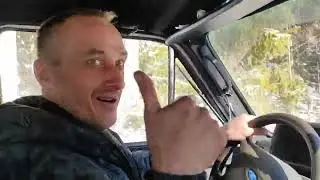 Праздничная прогулка по красивому весеннему лесу