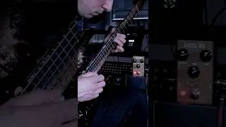 I love to shred... 