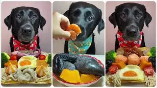 black dog eating food short video🐶😝 #dog #viralvideo #dogvideo 