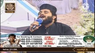 Hajj Special Kalaam / Hajio Ao Shenshaha ka / M Waqas Qadri