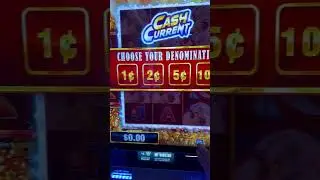 Spotting Bingo Games in Casinos #redscreens #bingo #casino