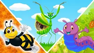 НАСЕКОМЫЕ для детей | Изучаем насекомых
