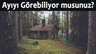 Kimse Gizlenmiş Hayvanları Göremiyor - Hayvanların Gizlendiği 10 Fotoğraf