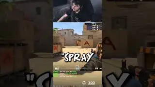 Is the spray actually that bad? 🤔 #cs2 #twitch #magnnum