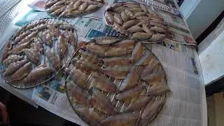 How to smoke fish for beginners