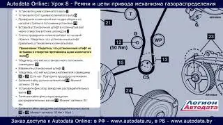 Autodata online обучение  - ремни и цепи привода механизма газораспределения. Урок 8