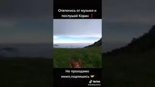 Друг мой,послушай Коран!