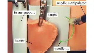 Dual-Arm Robotic Needle Insertion With Active Tissue Deformation for Autonomous Suturing